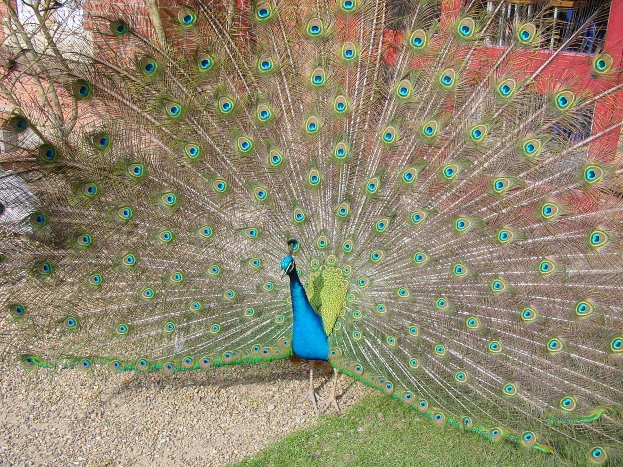 Pendley Manor Hotel Tring Luaran gambar