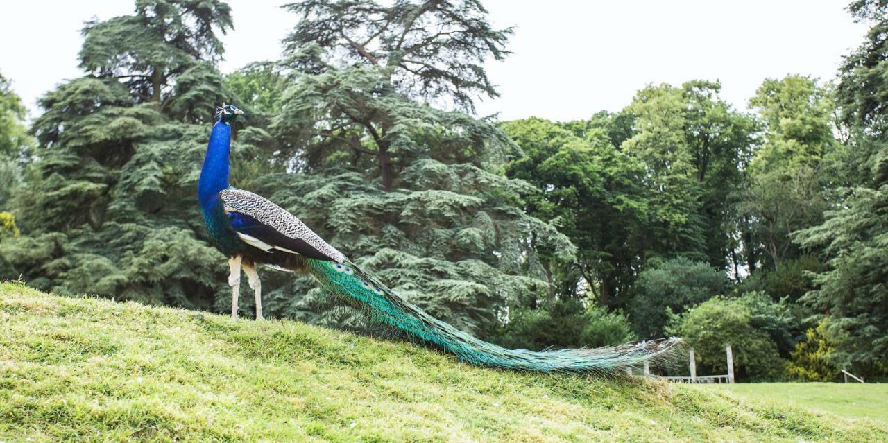 Pendley Manor Hotel Tring Luaran gambar